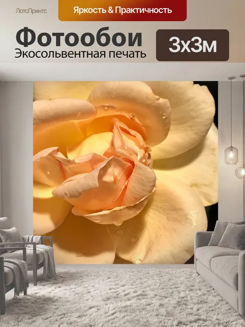 Фотообои Лепестки