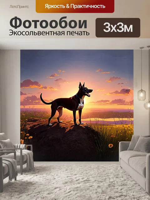 Фотообои собака, стоящая на высоком холме с видом на закат, её силуэт освещен оранжевыми и розовыми оттенками