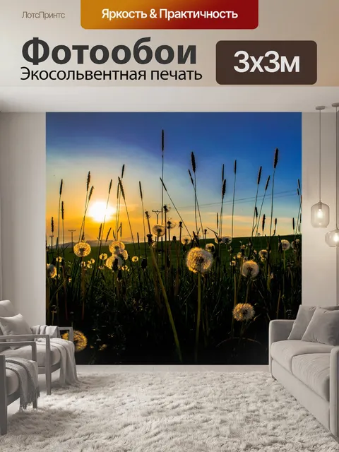 Фотообои Одуванчики