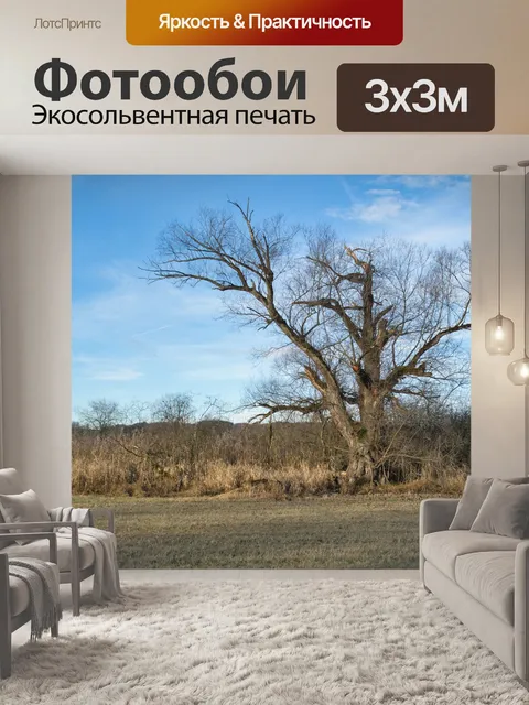 Фотообои Дерево