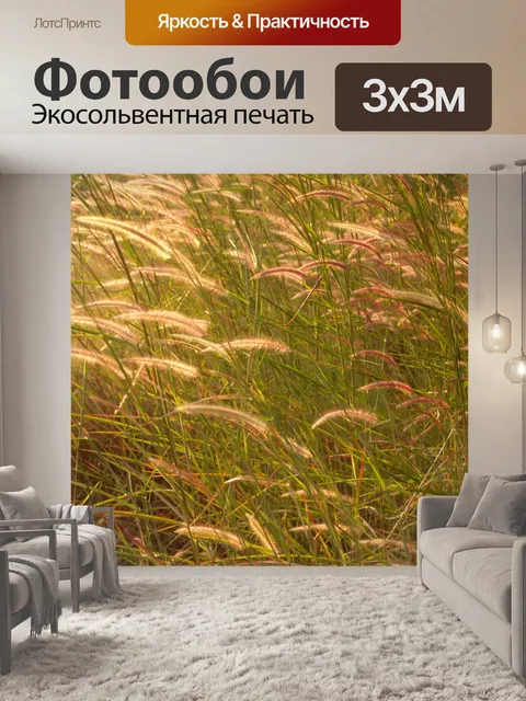 Фотообои Цветки одичалые Стоковая Фотография