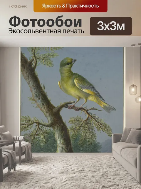 Фотообои Зеленушка Хлорис птица