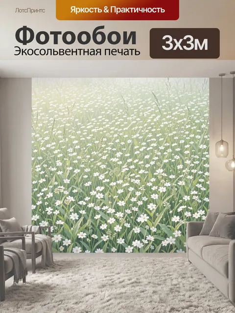Фотообои Луговые ромашки среди травы