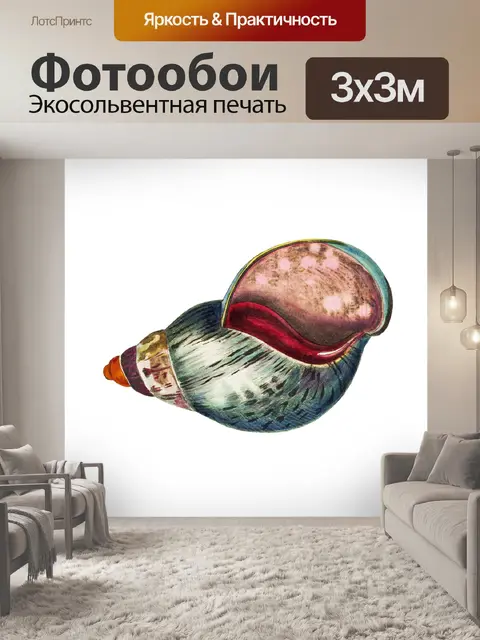 Фотообои Морская ракушка клипарт винтажное искусс