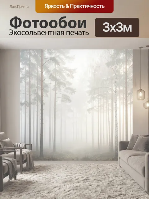 Фотообои Туманный лес с березами