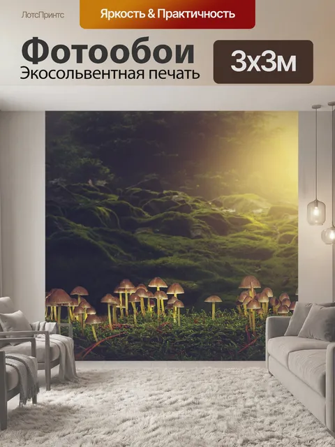 Фотообои Грибы