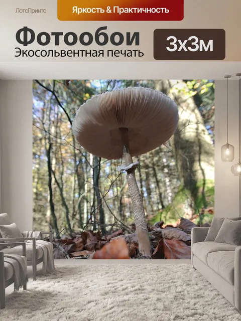 Фотообои Лес