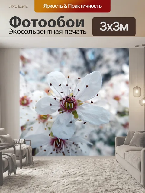 Фотообои Цветение вишни