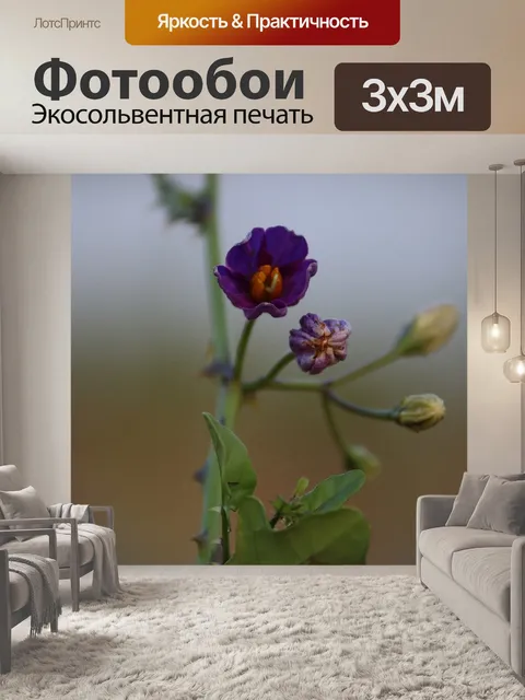 Фотообои Цветок