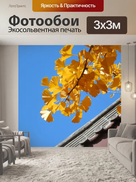 Фотообои Гинкго