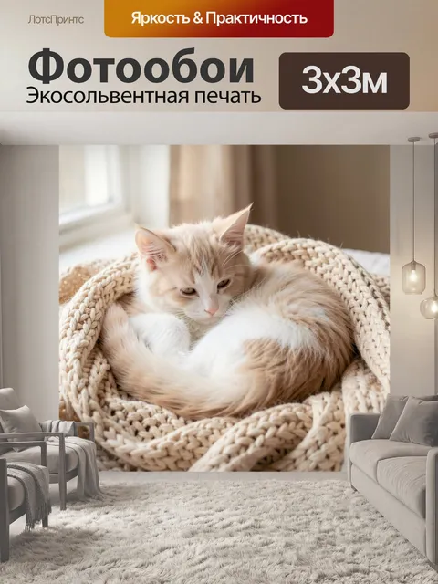 Фотообои Кремовый котёнок в вязаном пледе