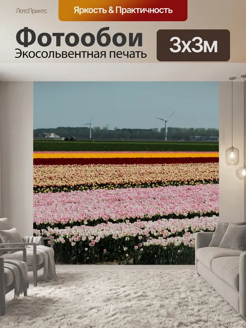 Фотообои Поля тюльпанов