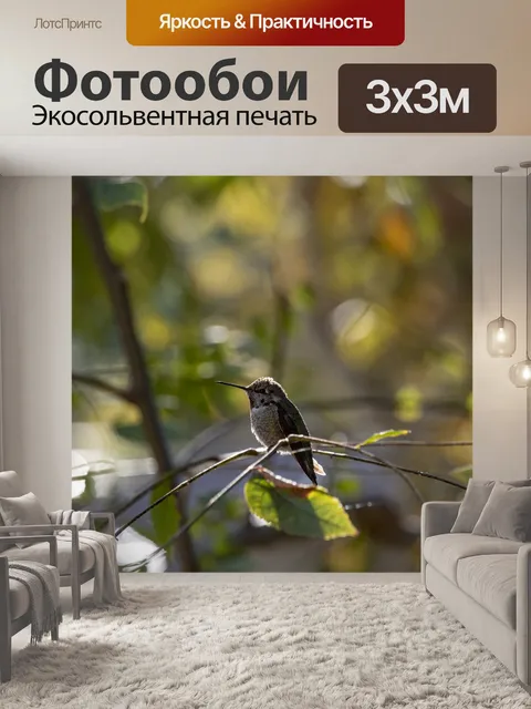 Фотообои Колибри на ветке дерева