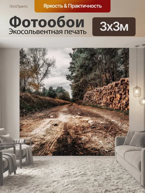 Фотообои Путь