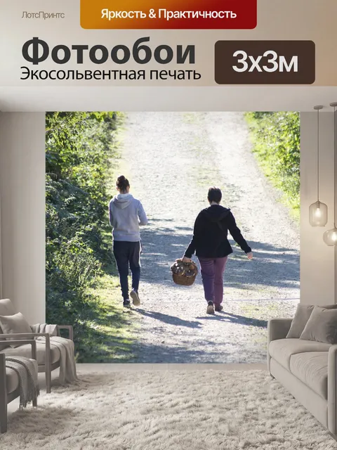 Фотообои Франция