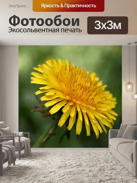 Фотообои Одуванчик