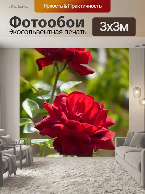 Фотообои Розы