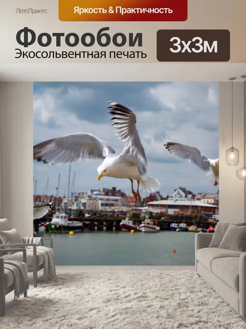 Фотообои Чайки в море