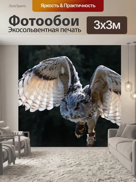 Фотообои Сова