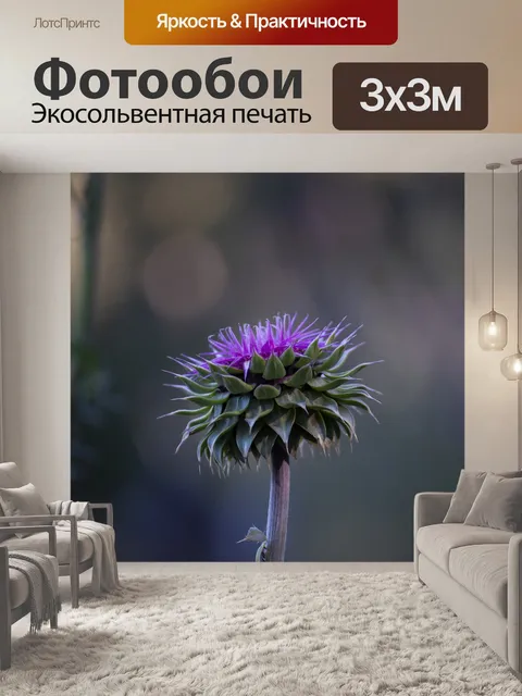 Фотообои Природа
