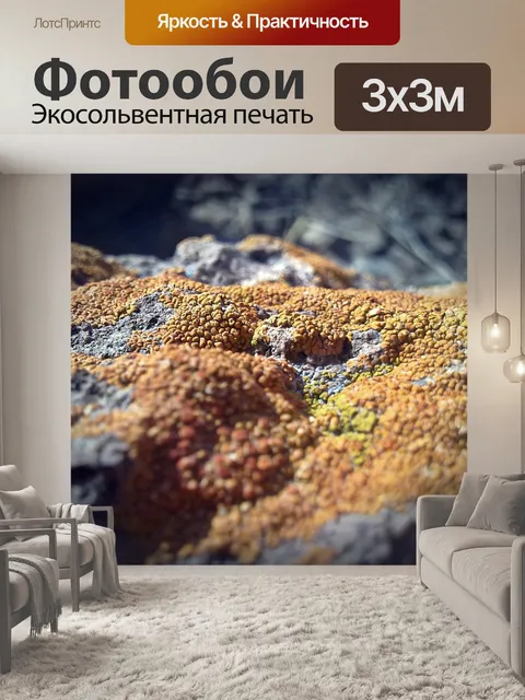 Фотообои Камень