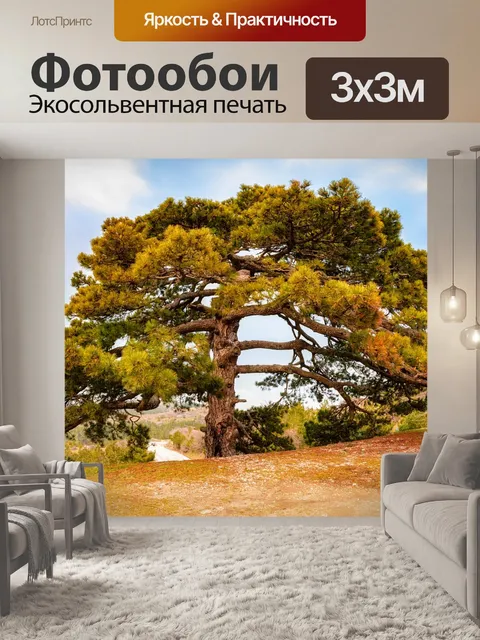 Фотообои Дерево