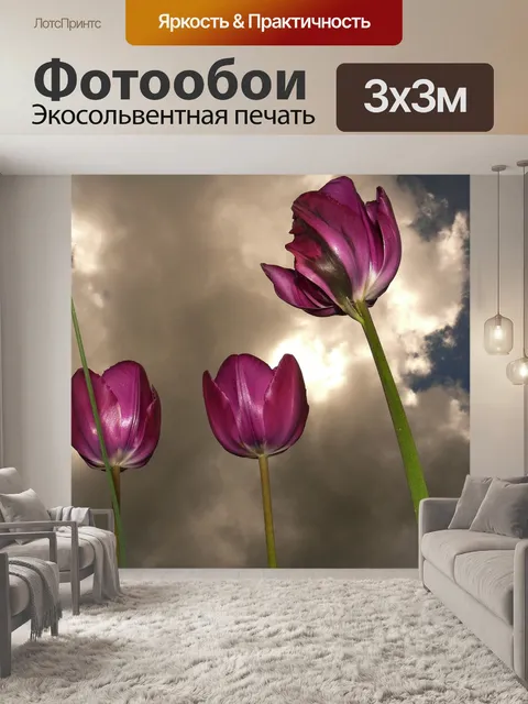 Фотообои Тюльпаны