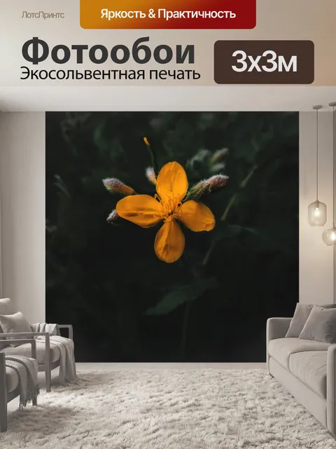 Фотообои Цветы