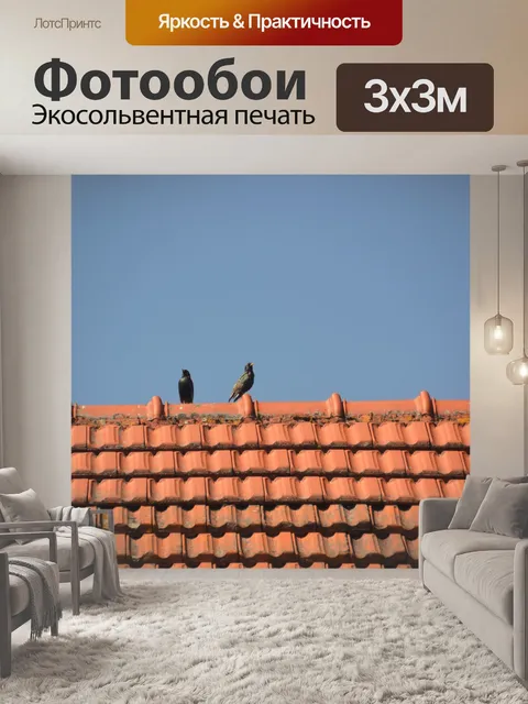 Фотообои Птицы