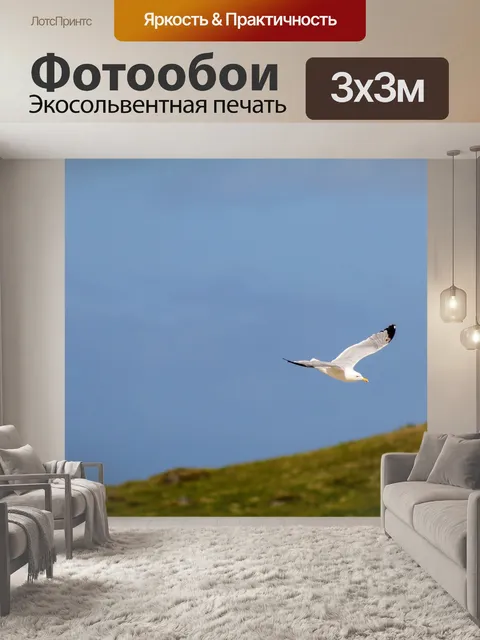 Фотообои Птица