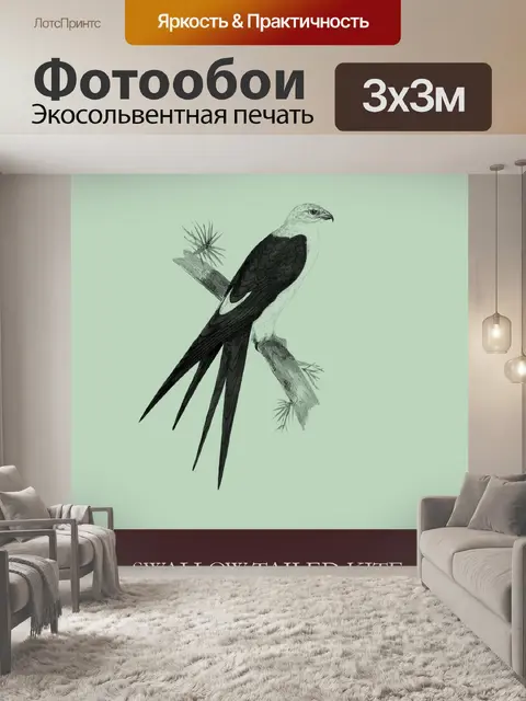 Фотообои воздушный змей