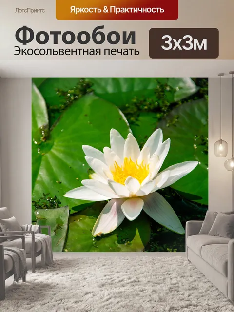 Фотообои Водяная лилия