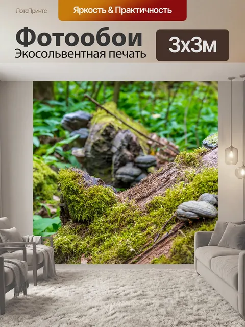 Фотообои Лес