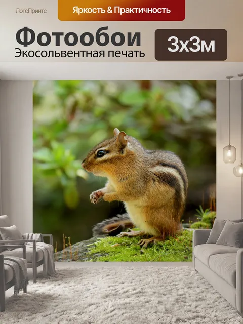 Фотообои Бурундук на мох