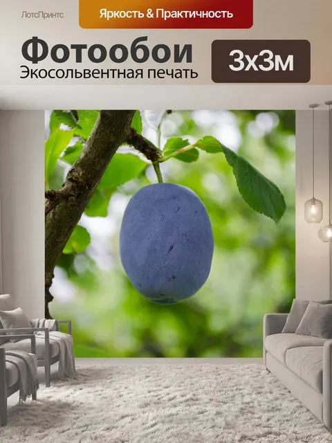 Фотообои сливы