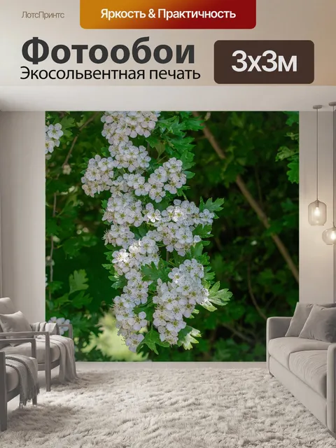 Фотообои Цветы