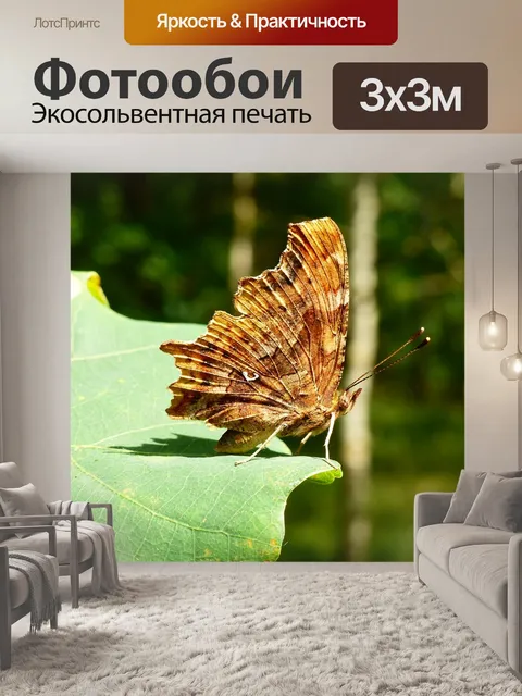 Фотообои Rusałka ceik