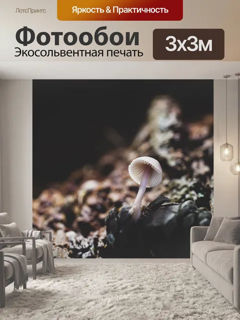 Фотообои Гриб