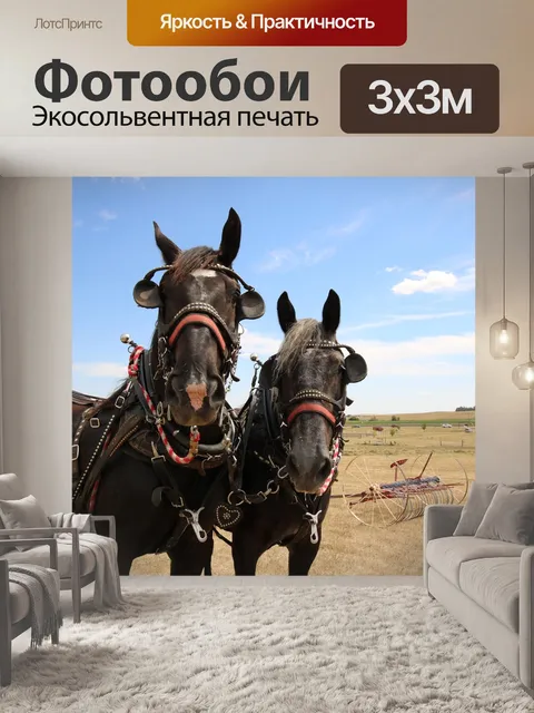 Фотообои Ферма
