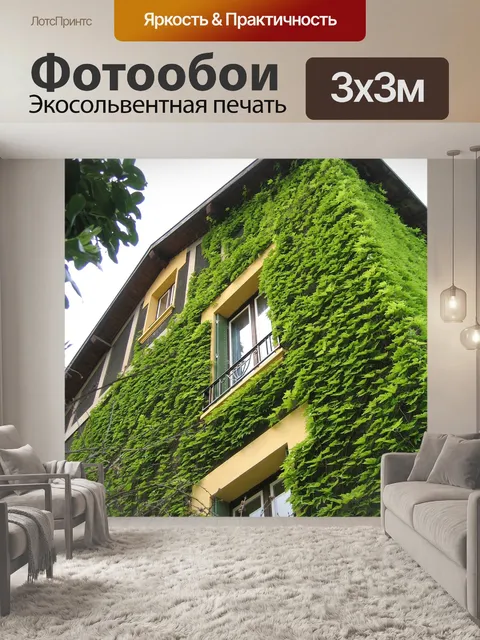 Фотообои Дом