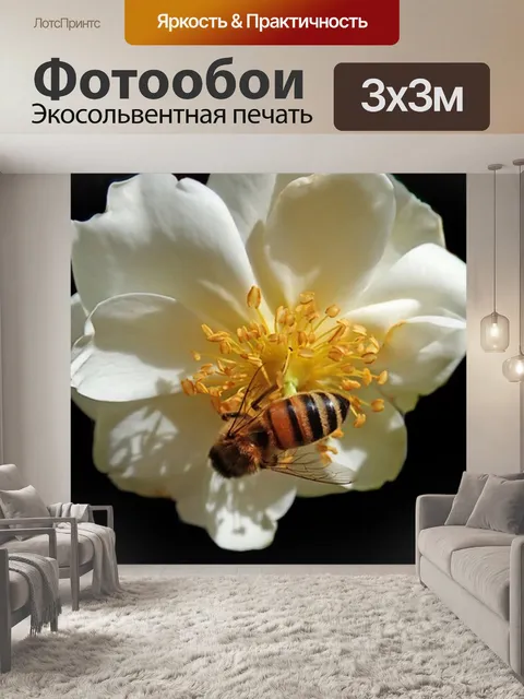 Фотообои Цветы