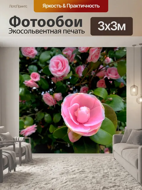 Фотообои Цветы