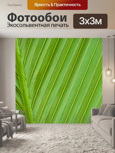 Фотообои Зеленый лист пальмы