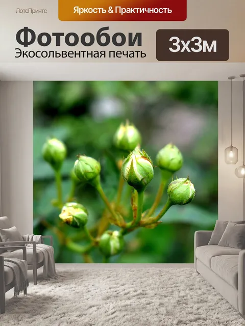 Фотообои Природа