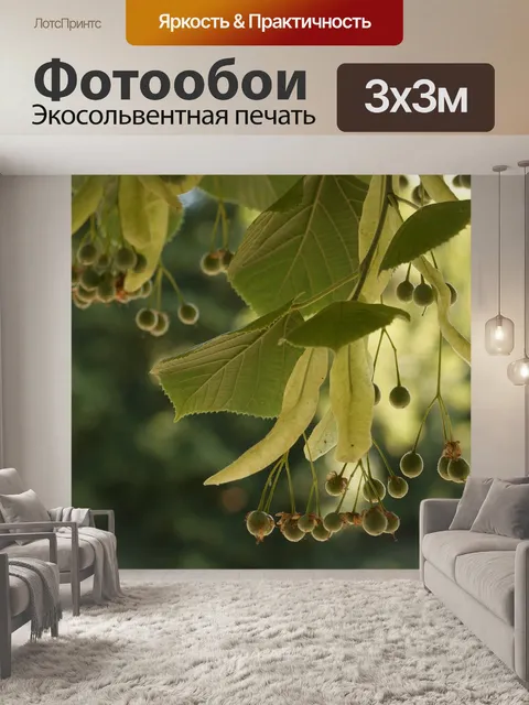 Фотообои Лайм
