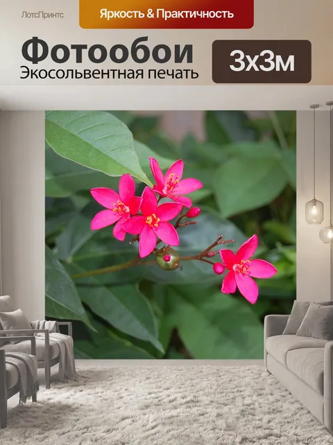 Фотообои Цветы