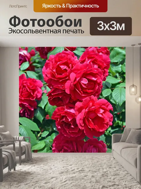 Фотообои Букет