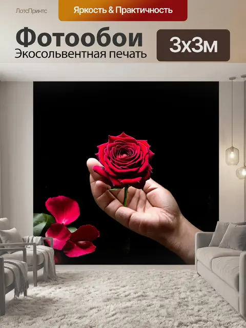 Фотообои на черном фоне величественная рука держит алую розу, что создает контраст между темнотой и яркостью цвета