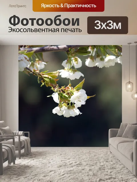 Фотообои Сад