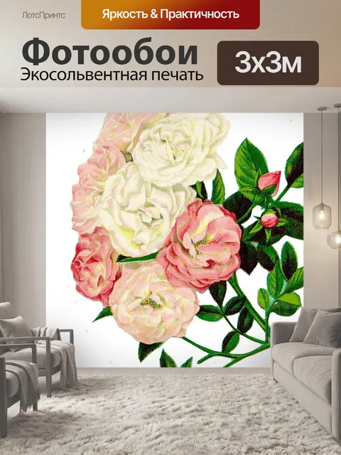 Фотообои Розы клипарт